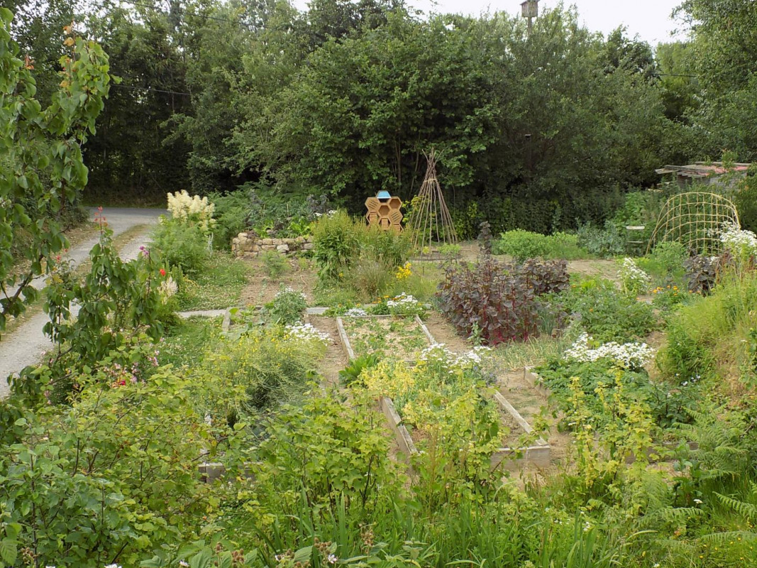 photo 24