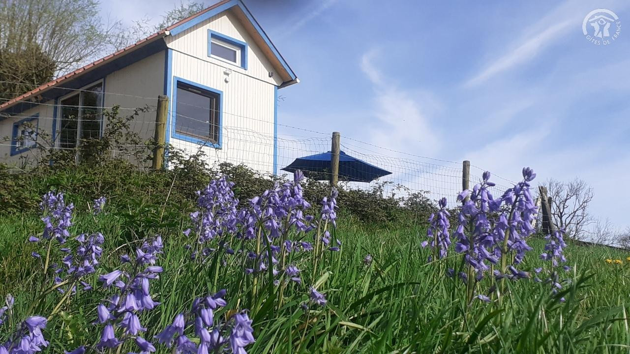 photo 0
