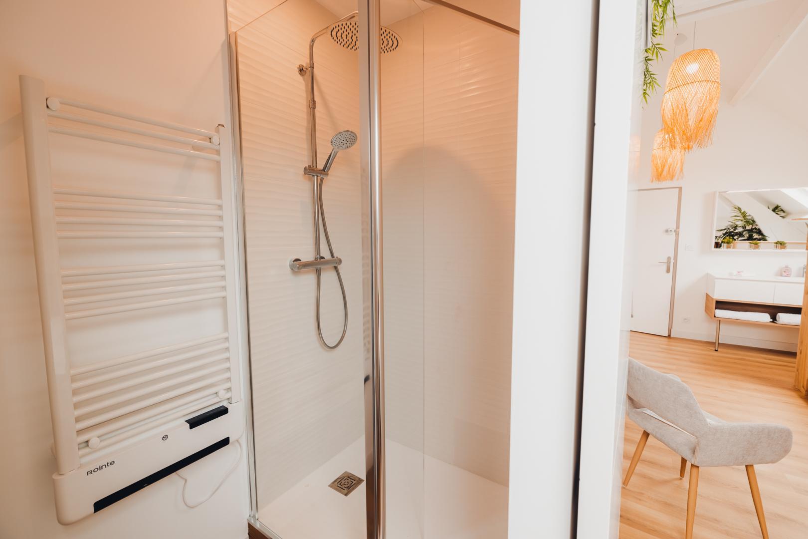 espace douche et wc chambre balnéo photo 18
