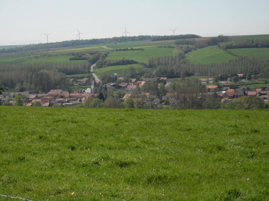 photo 46