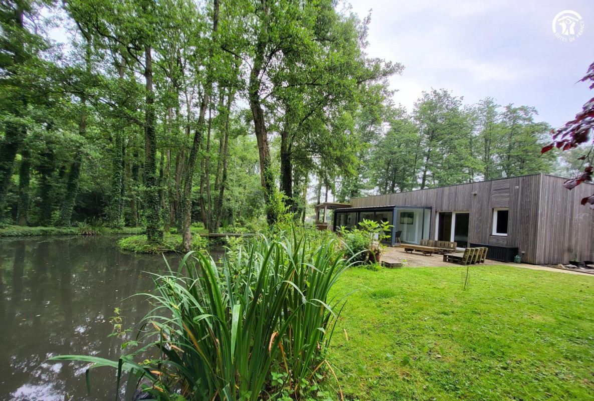 photo 0
