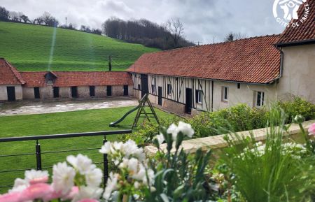 G&icirc;te n&deg;G622642 Alette - Pas-de-Calais - Jardin clos 