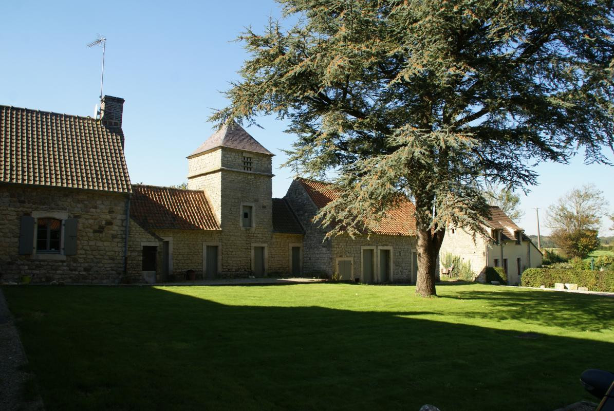 photo 0